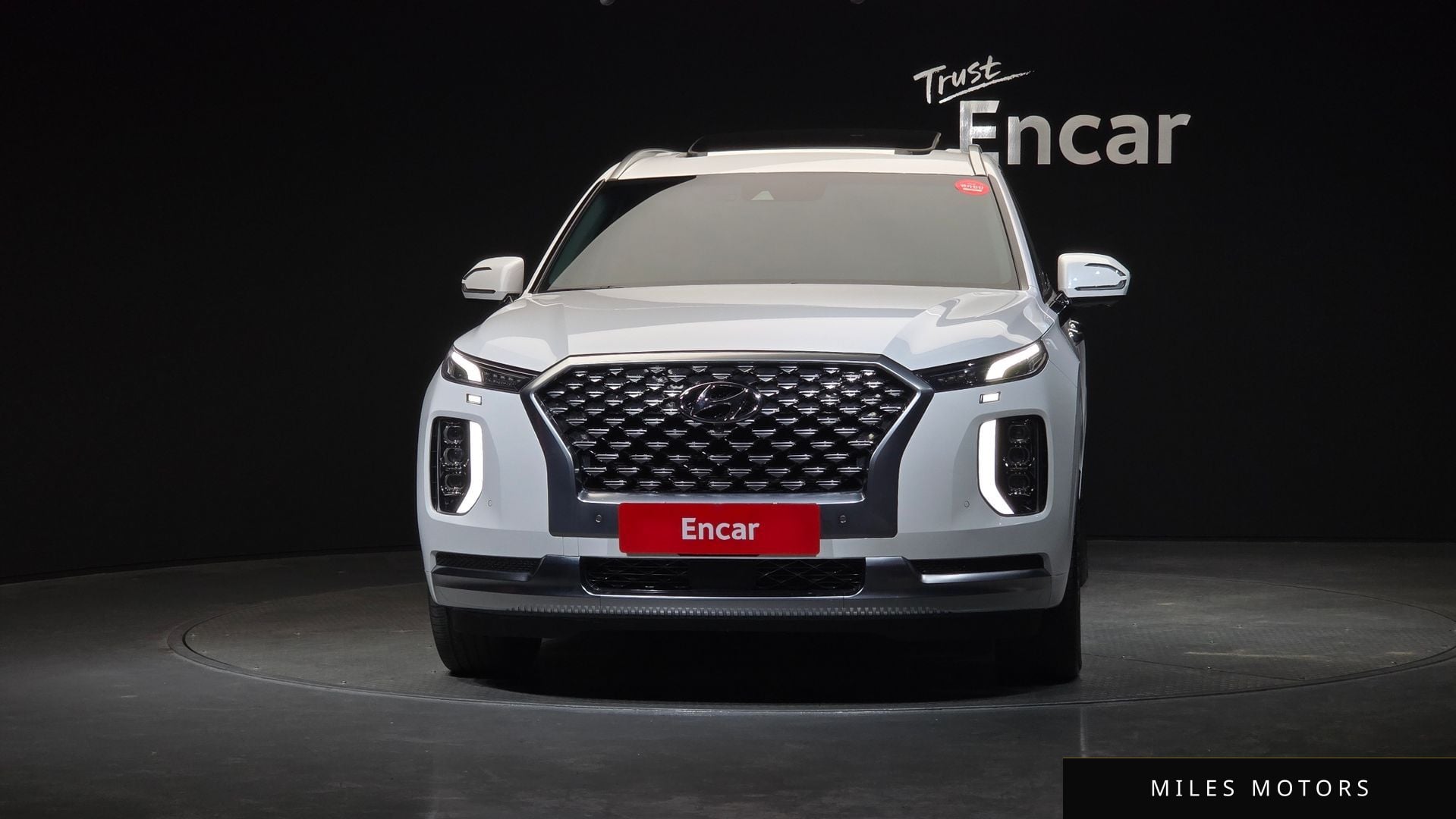 Hyundai Palisade 2021 — миниатюра 3