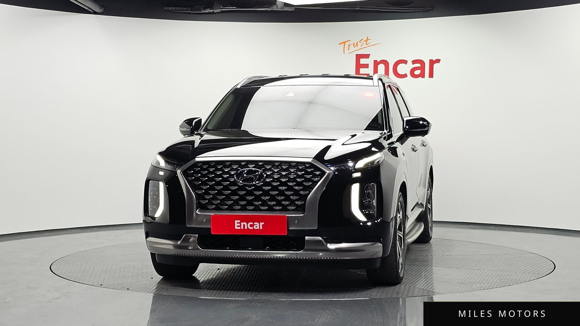 Hyundai Palisade 2022 — миниатюра 3