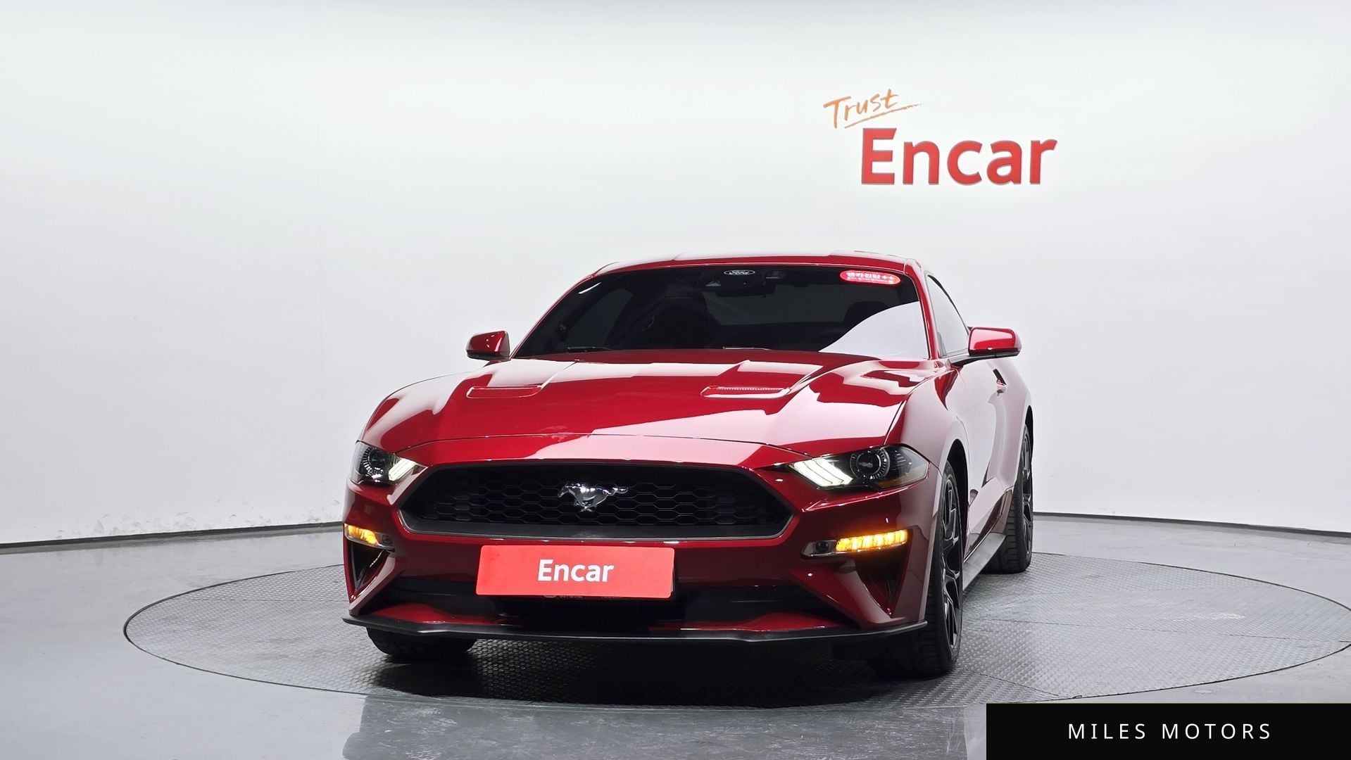 Ford 머스탱 2023 — миниатюра 2