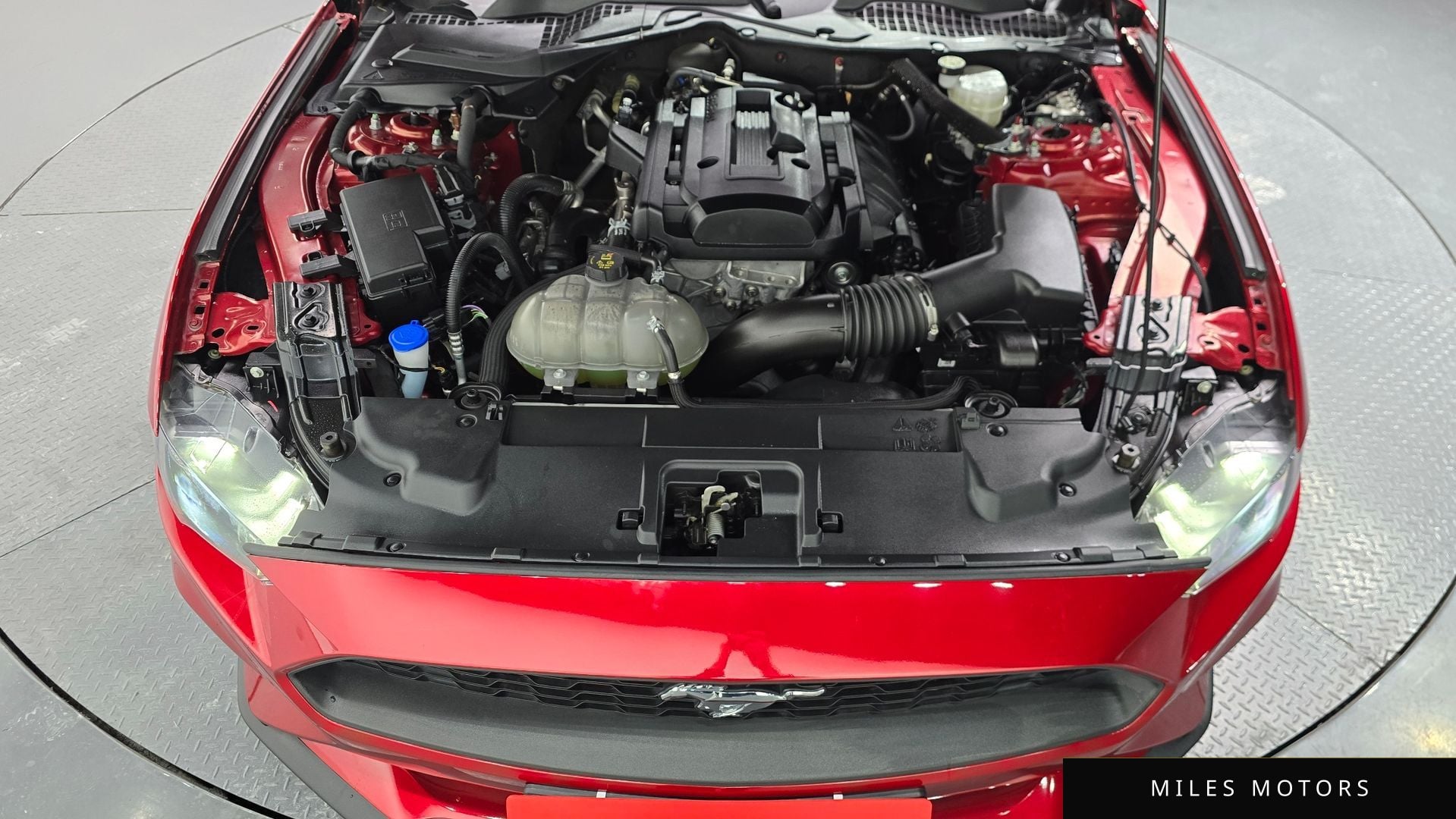 Ford 머스탱 2023 — миниатюра 5