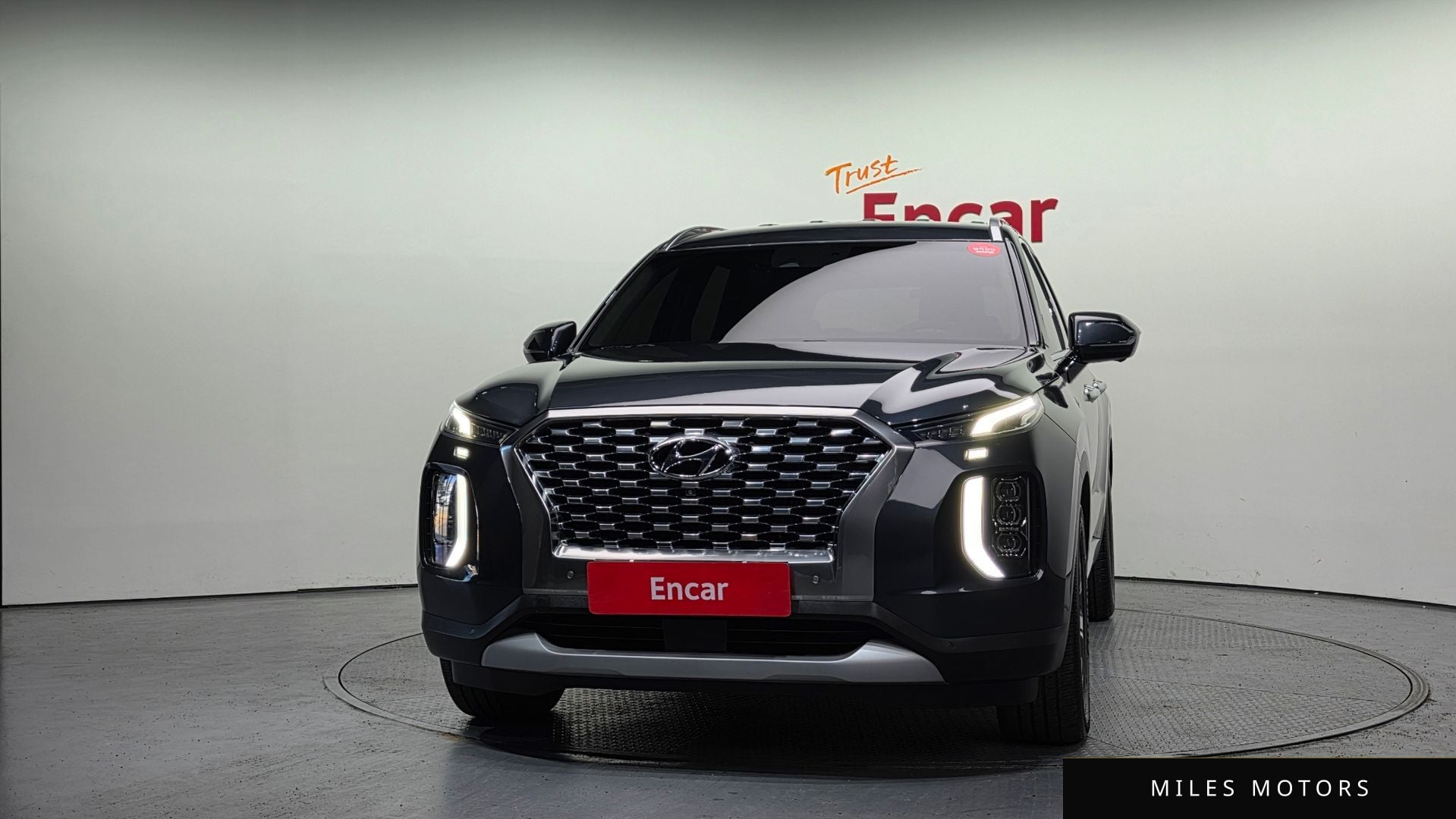 Hyundai Palisade 2019 — миниатюра 3
