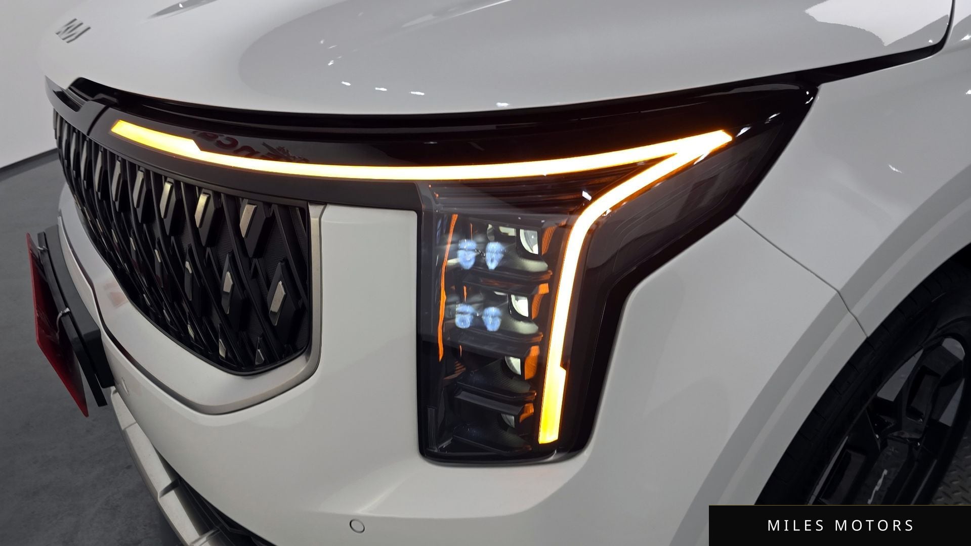 Kia Canival 2025 — миниатюра 7