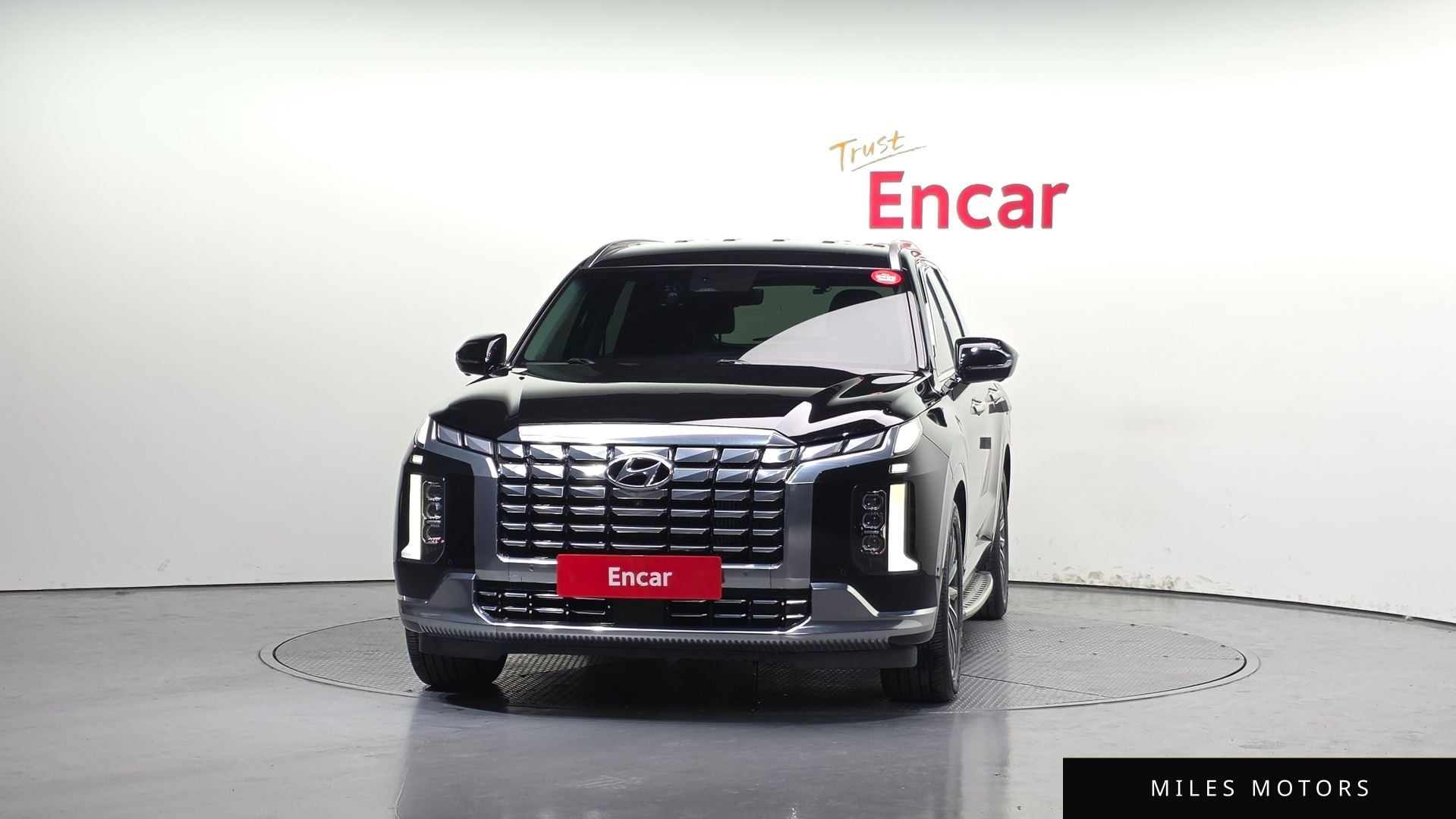 Hyundai Palisade 2023 — миниатюра 3