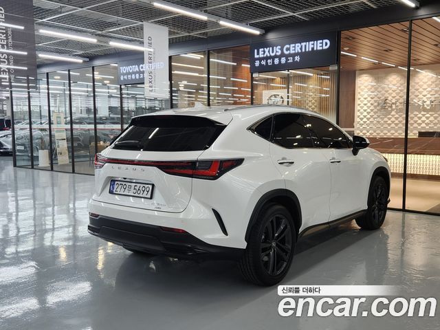 Лексус NX350h 2025 — миниатюра 2