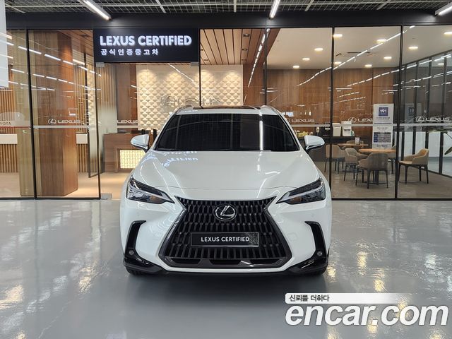 Лексус NX350h 2025 — миниатюра 3