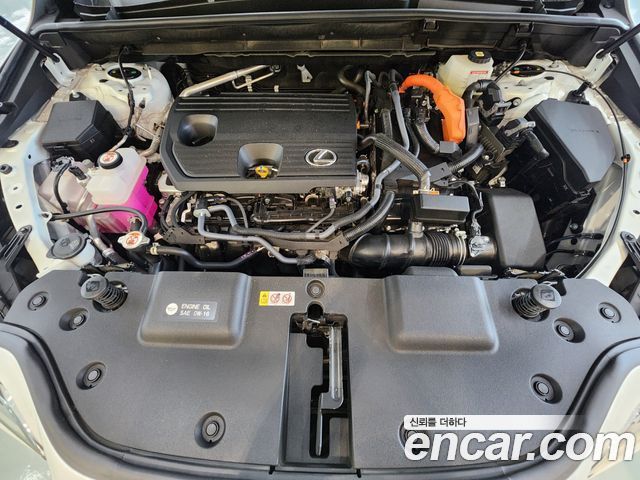 Лексус NX350h 2025 — миниатюра 6