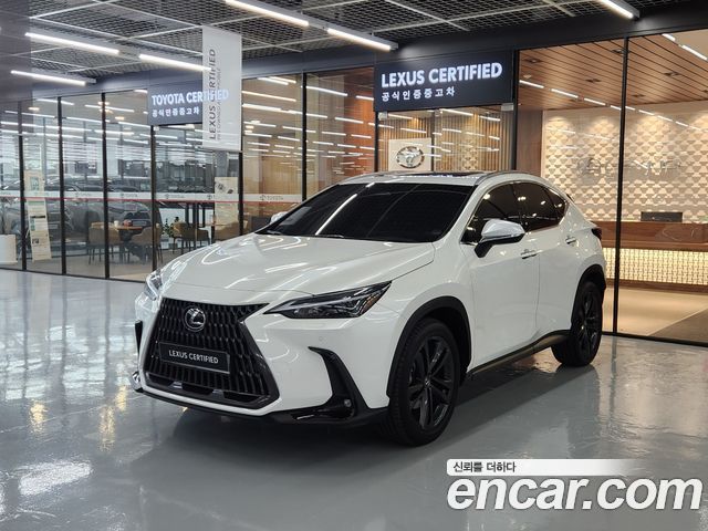 Лексус NX350h 2025 — миниатюра 11