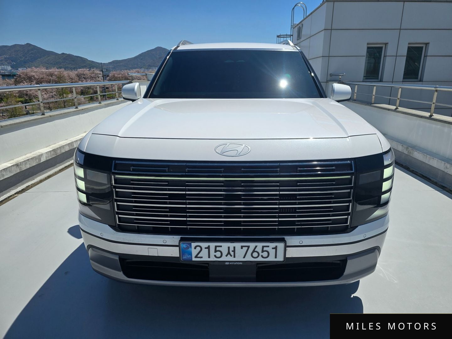 Hyundai Palisade 2025 — миниатюра 3