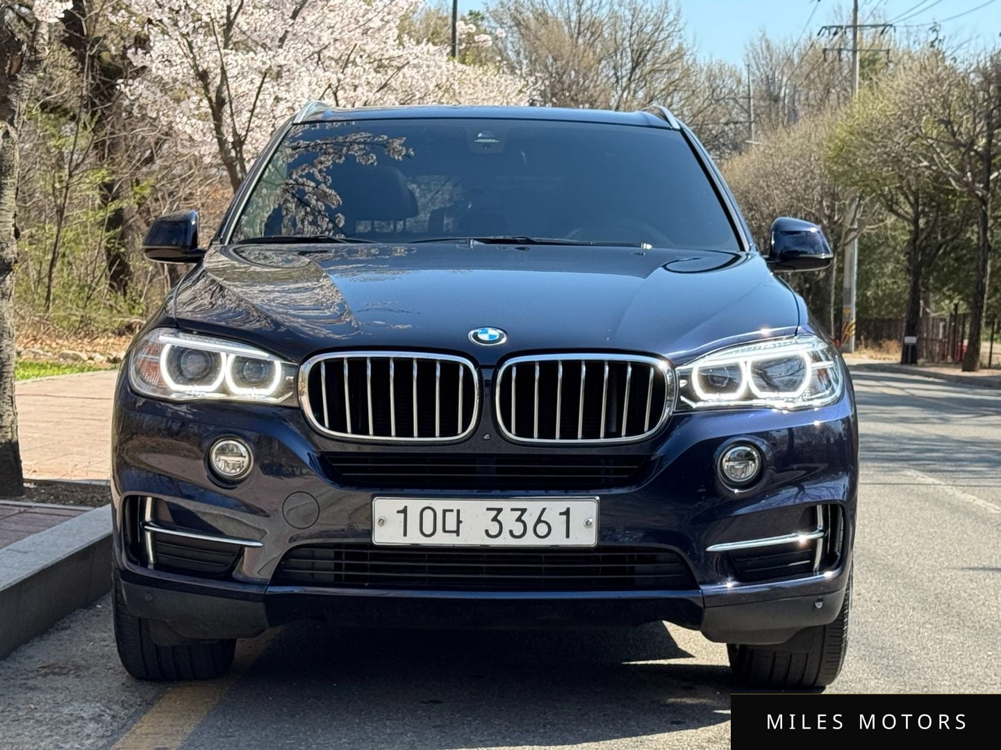 BMW X5 (F15) 2018 — миниатюра 3