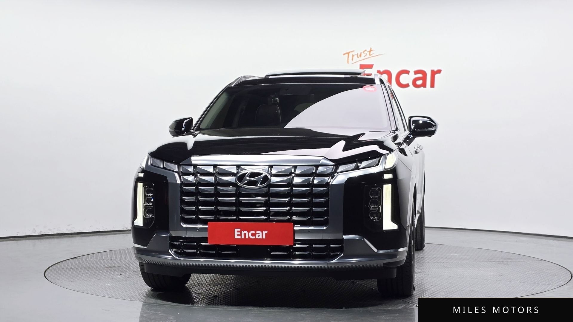 Hyundai Palisade 2023 — миниатюра 3