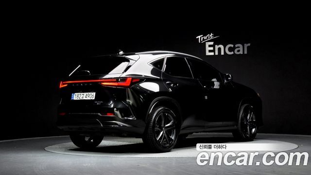 Лексус NX350h 2025 — миниатюра 2