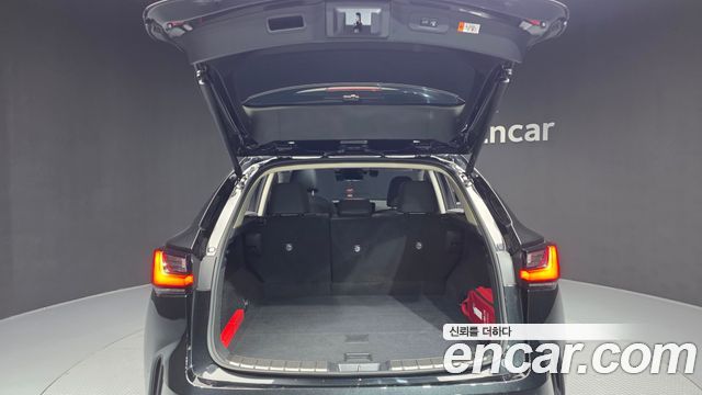 Лексус NX350h 2025 — миниатюра 26