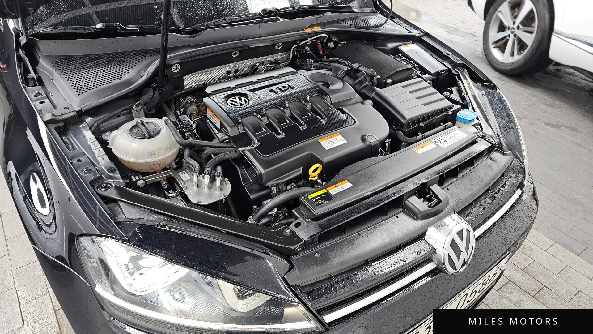 Volkswagen Golf 2016 — миниатюра 6