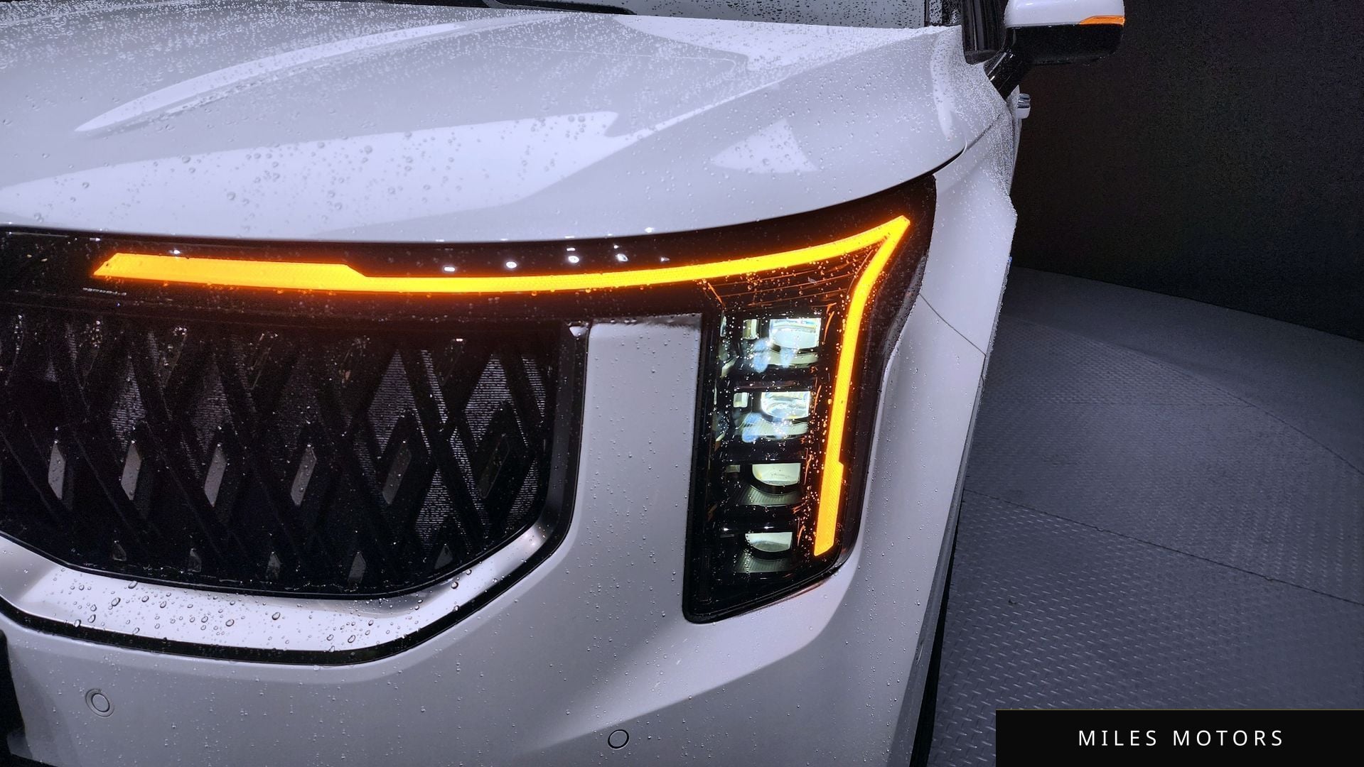Kia Canival 2025 — миниатюра 8