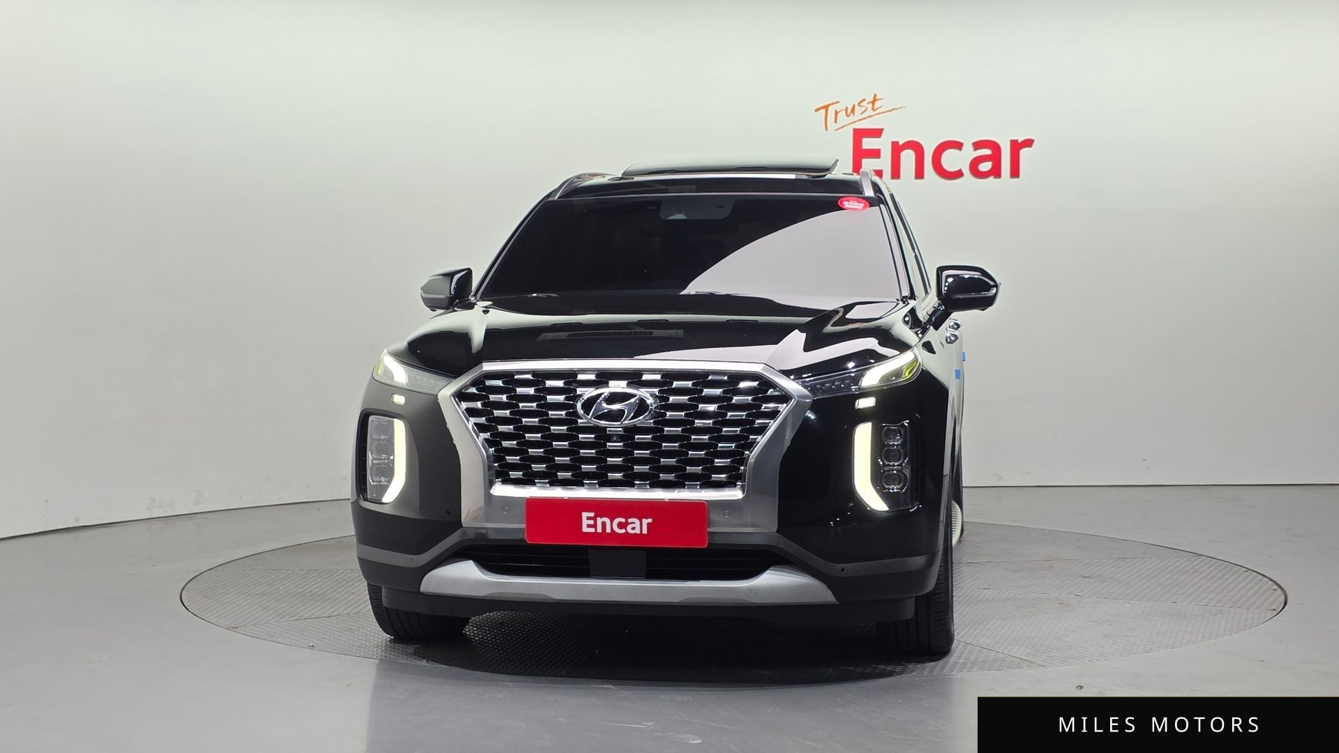 Hyundai Palisade 2019 — миниатюра 3