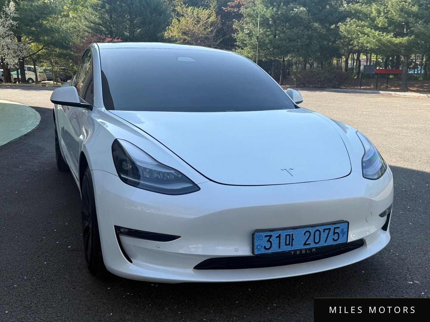 Tesla Model 3 2021 — миниатюра 2