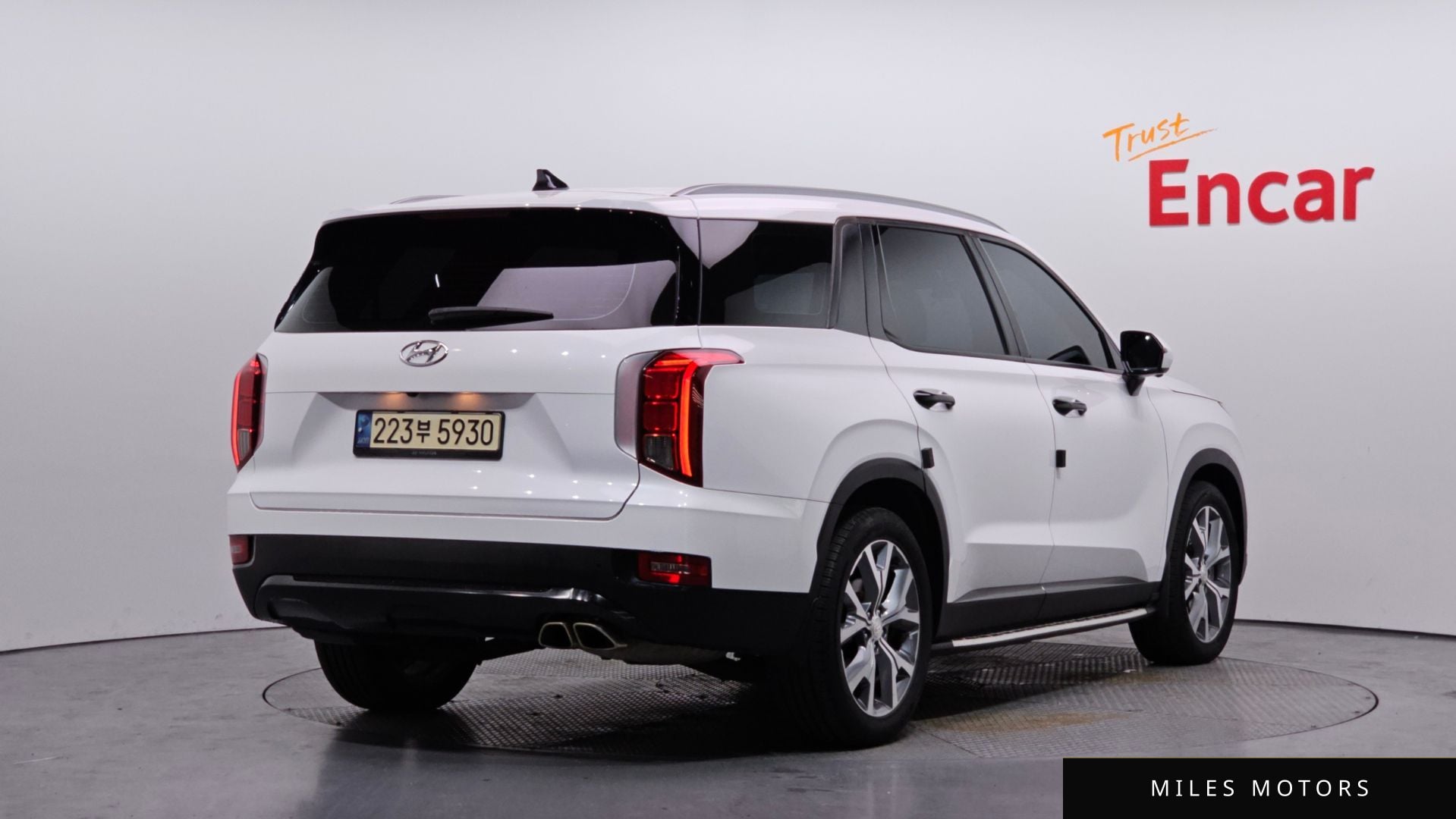 Hyundai Palisade 2019 — миниатюра 2