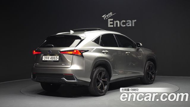 Лексус NX300h 2019 — миниатюра 2