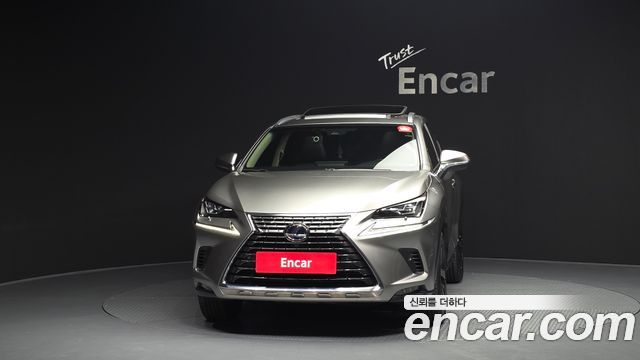 Лексус NX300h 2019 — миниатюра 3