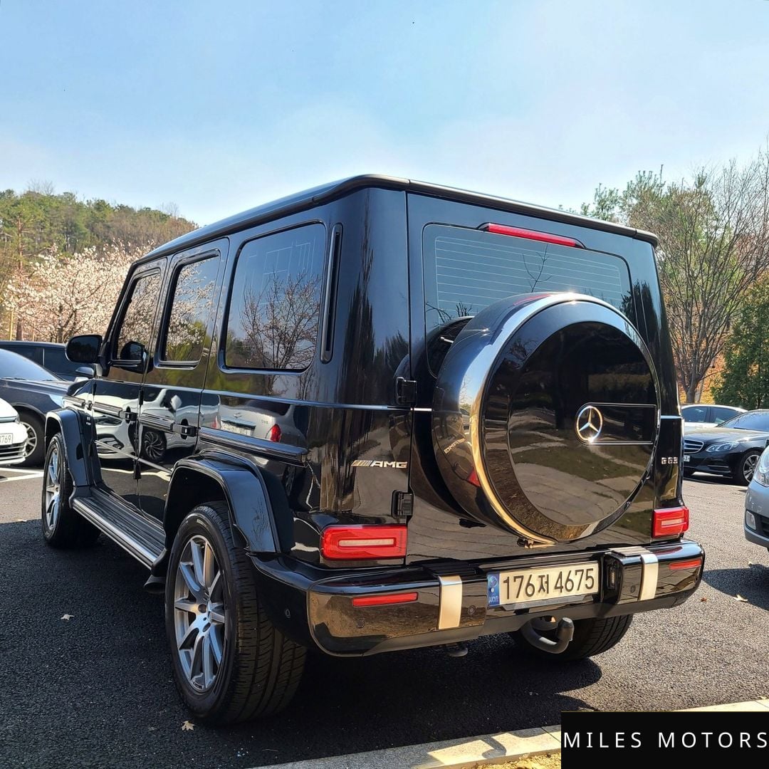 Mercedes-Benz G-Class W463b 2020 — миниатюра 2