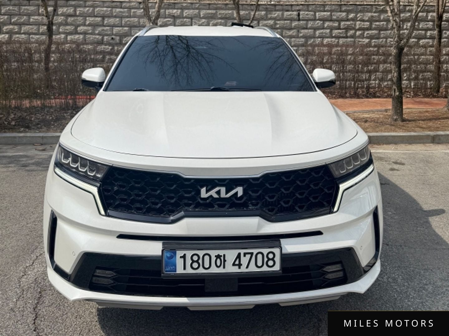 Kia Sorento 2023 — фото 1 из 11