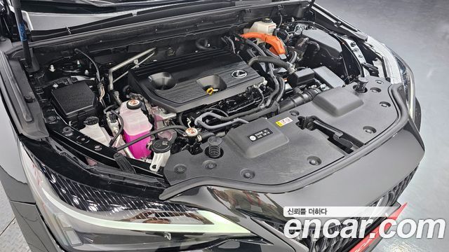 Лексус NX350h 2024 — миниатюра 6