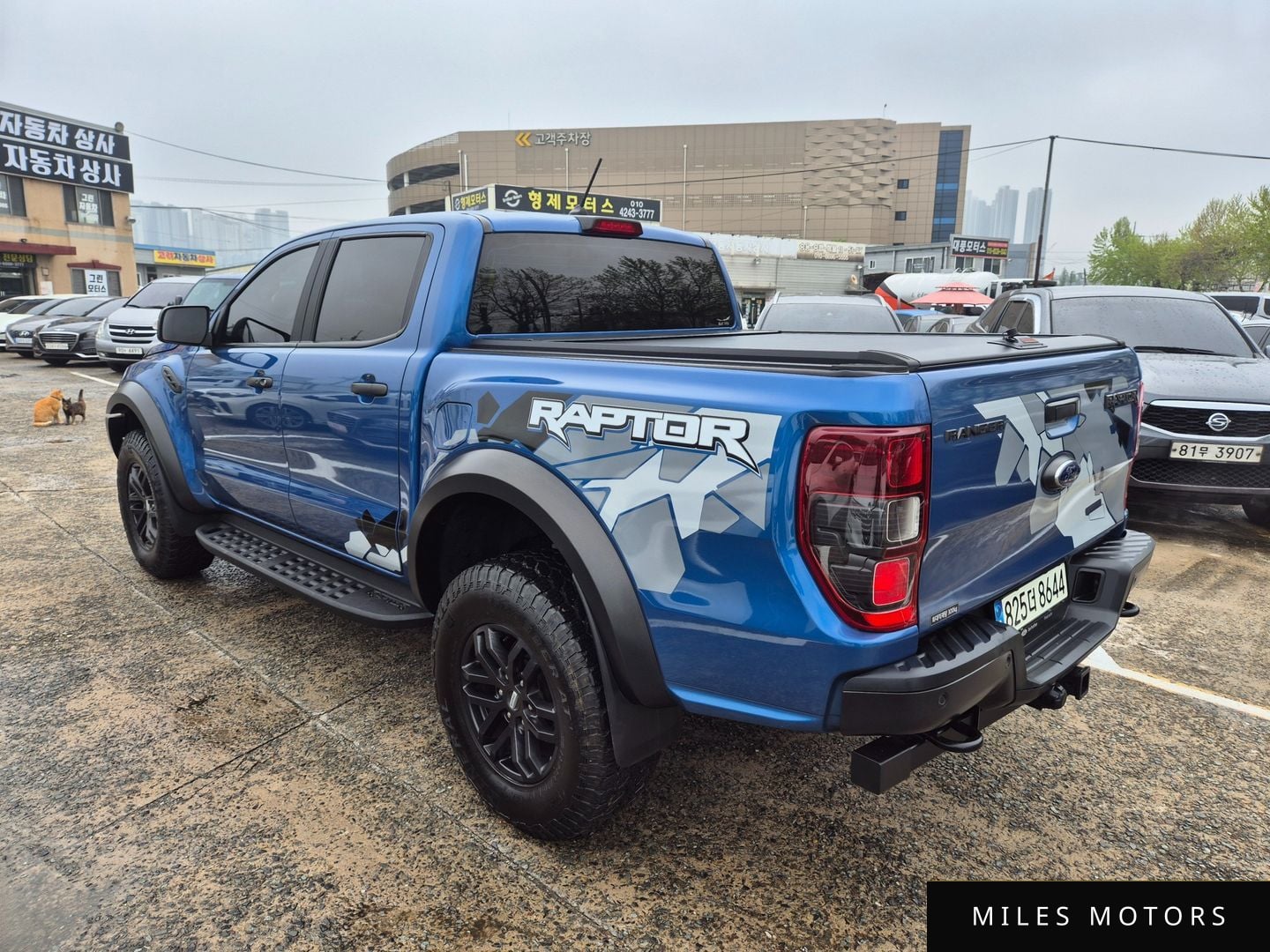 Ford Ranger 2022 — миниатюра 4