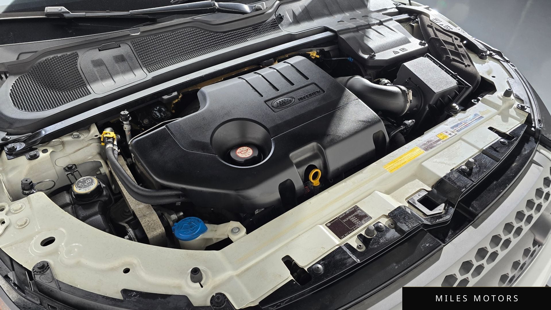 Land Rover 레인지로버 이보크 2017 — миниатюра 6