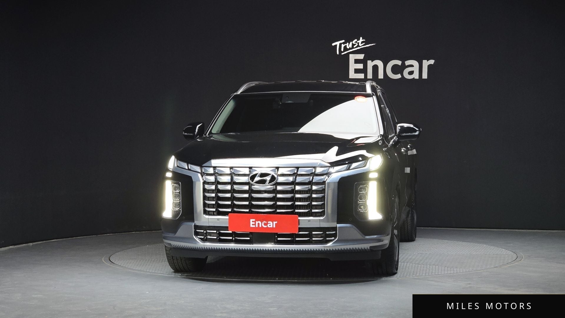 Hyundai Palisade 2023 — миниатюра 3