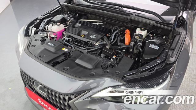 Лексус NX350h 2024 — миниатюра 6