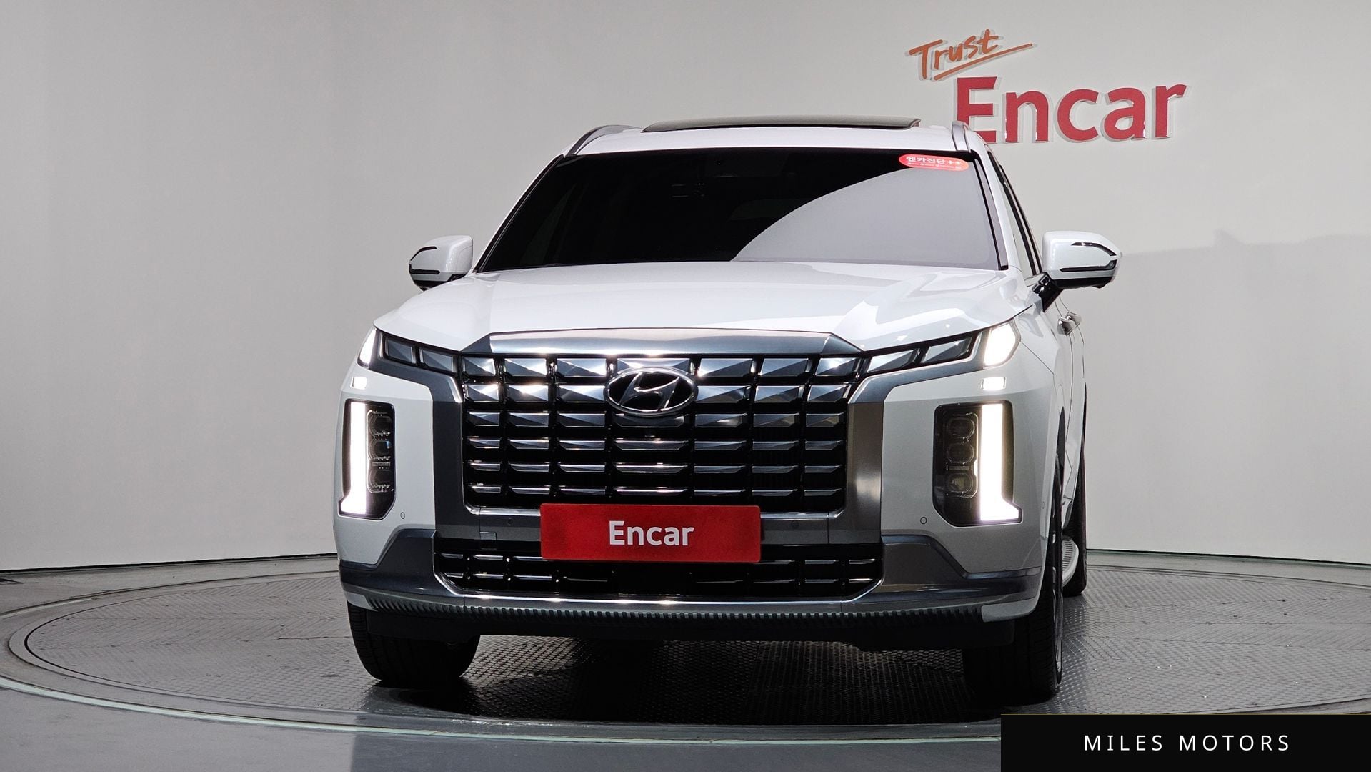 Hyundai Palisade 2023 — миниатюра 2