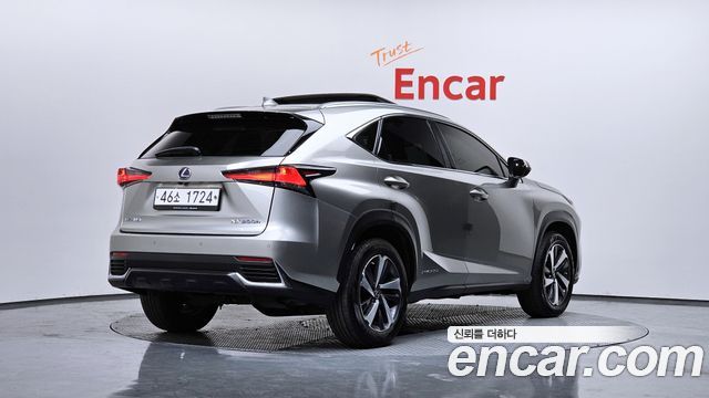 Лексус NX300h 2019 — миниатюра 2