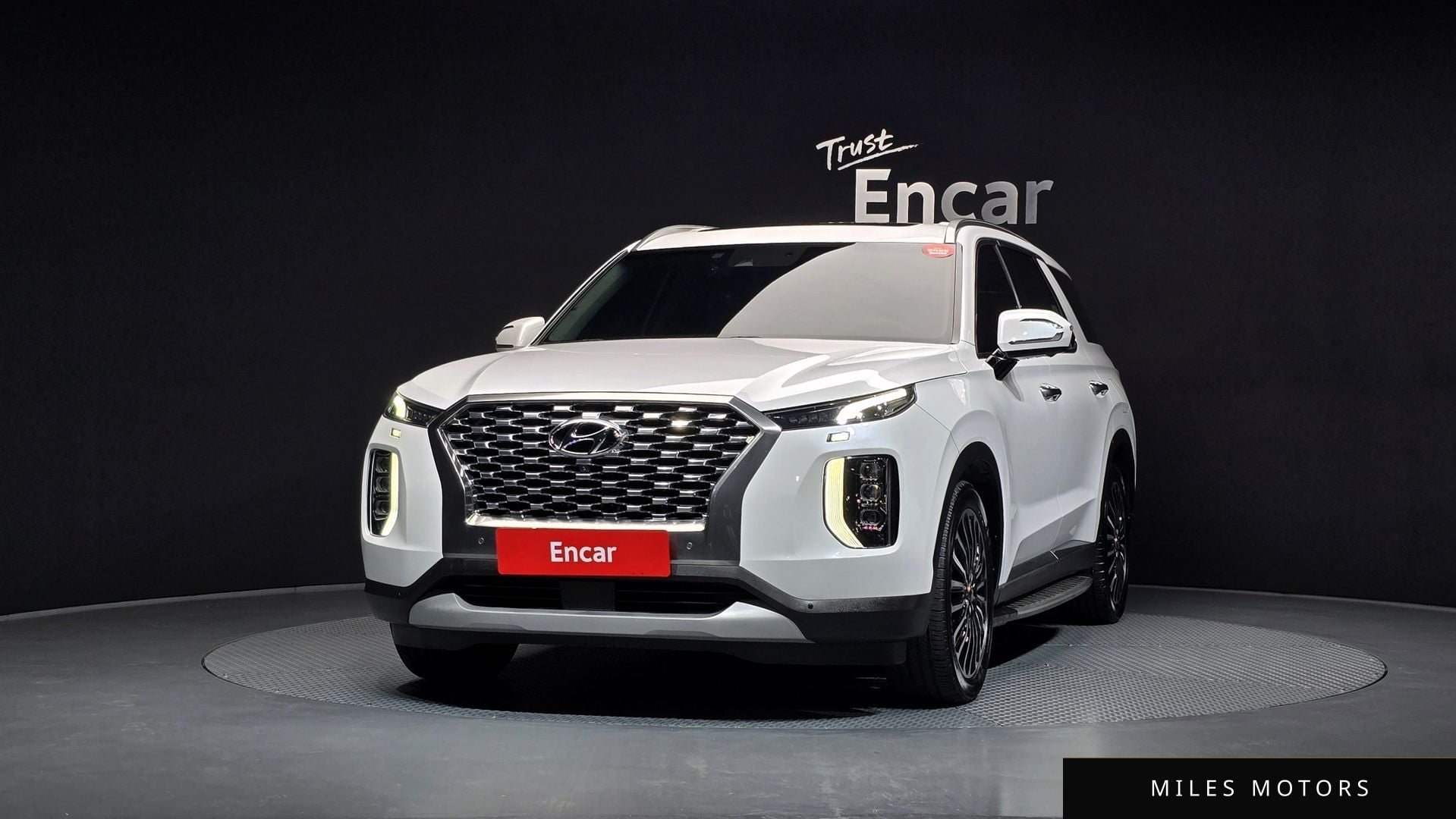 Hyundai Palisade 2019 — миниатюра 3