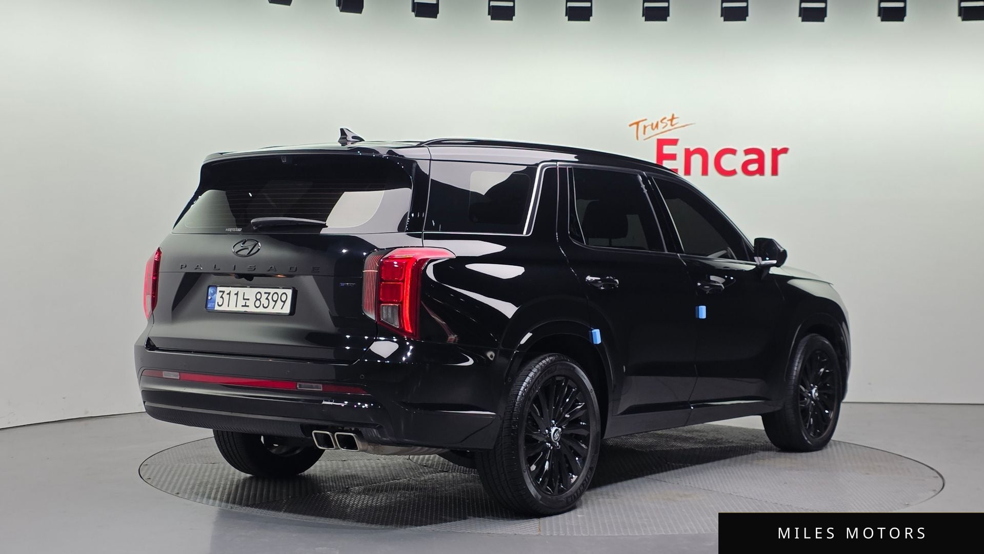 Hyundai Palisade 2024 — миниатюра 2