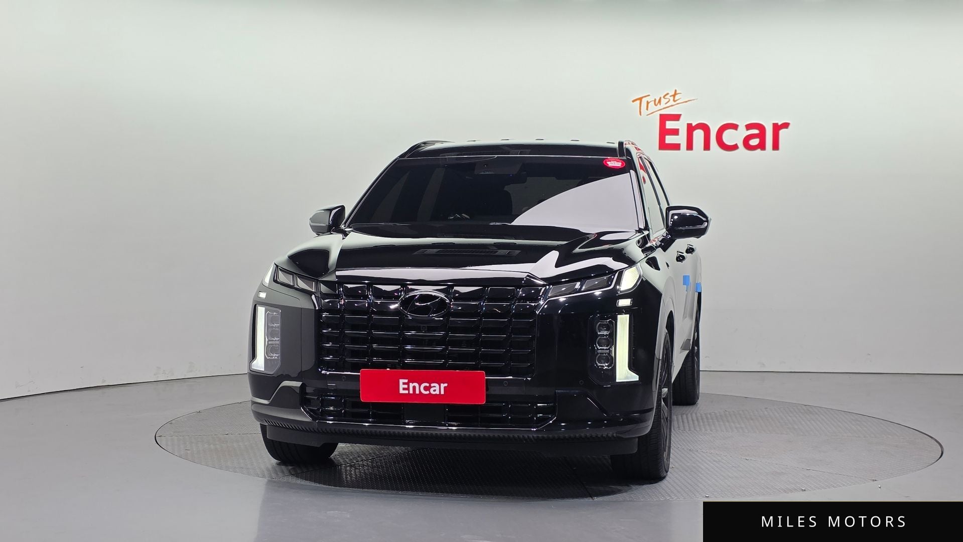 Hyundai Palisade 2024 — миниатюра 3