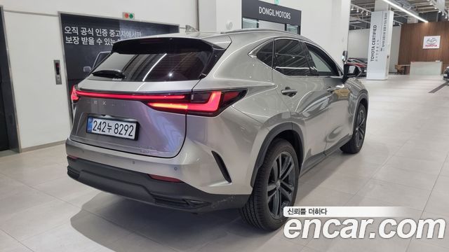Лексус NX350h 2025 — миниатюра 2