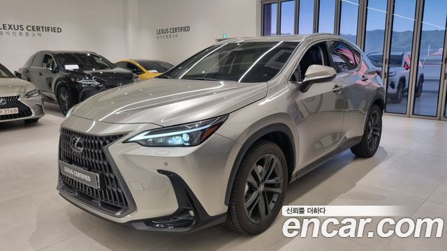 Лексус NX350h 2025 — миниатюра 12