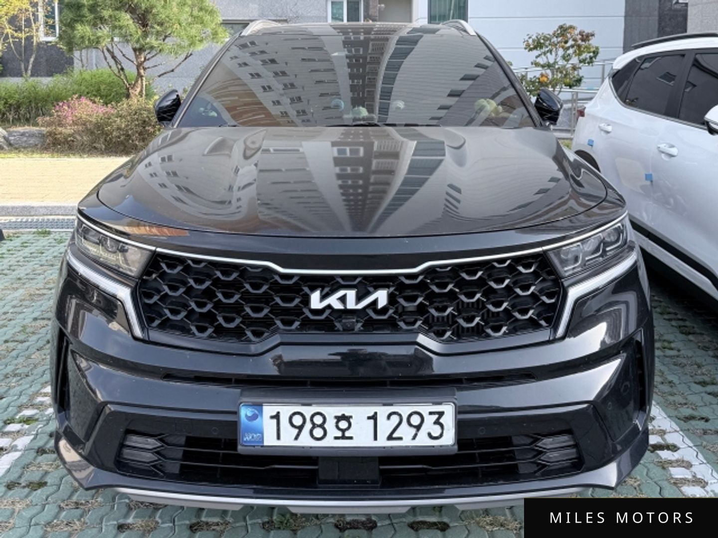 Kia Sorento 2023 — фото 1 из 12