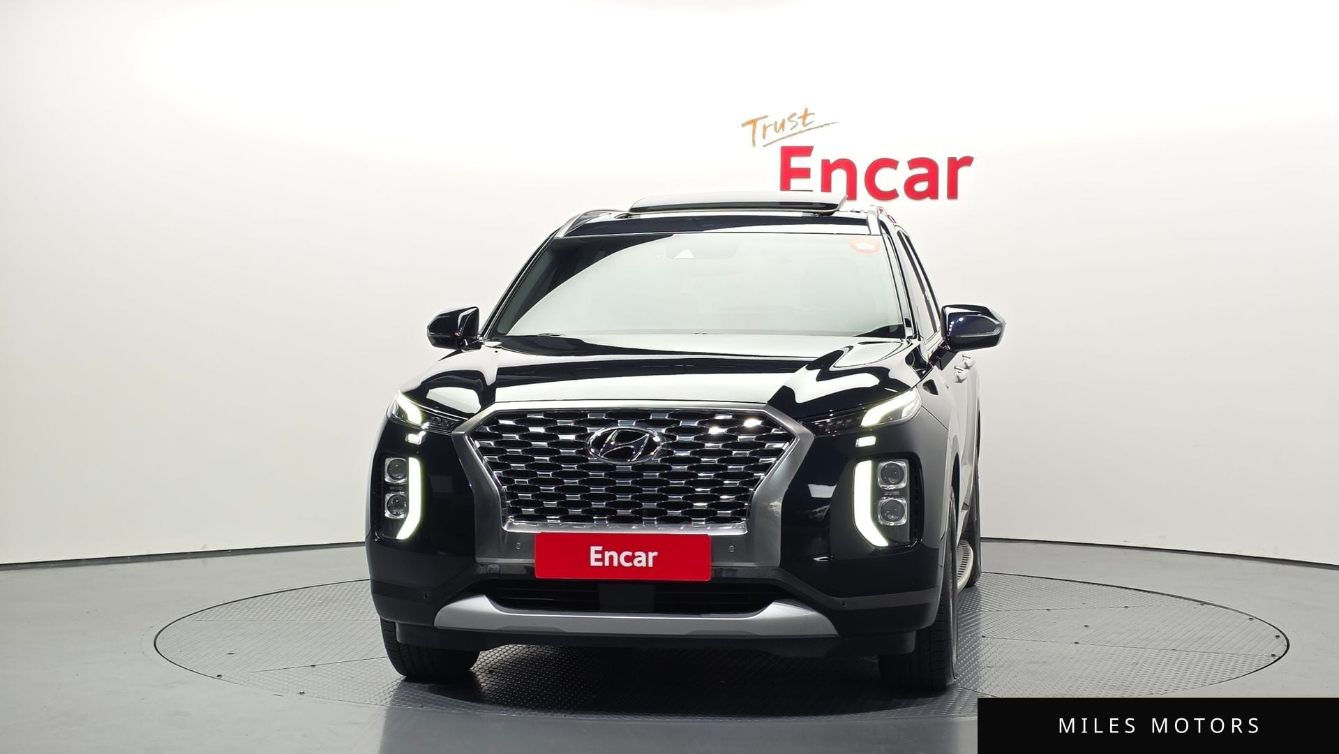 Hyundai Palisade 2019 — миниатюра 3
