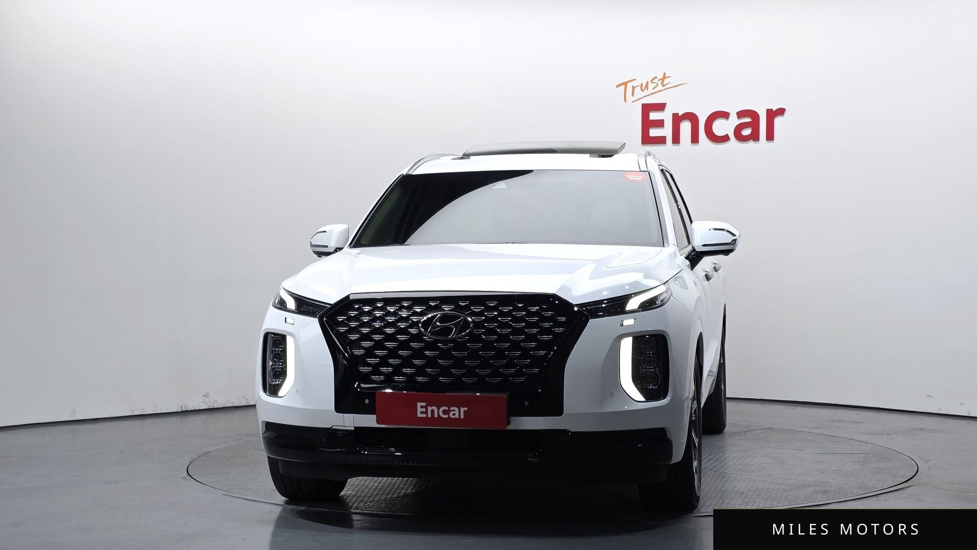 Hyundai Palisade 2022 — миниатюра 3