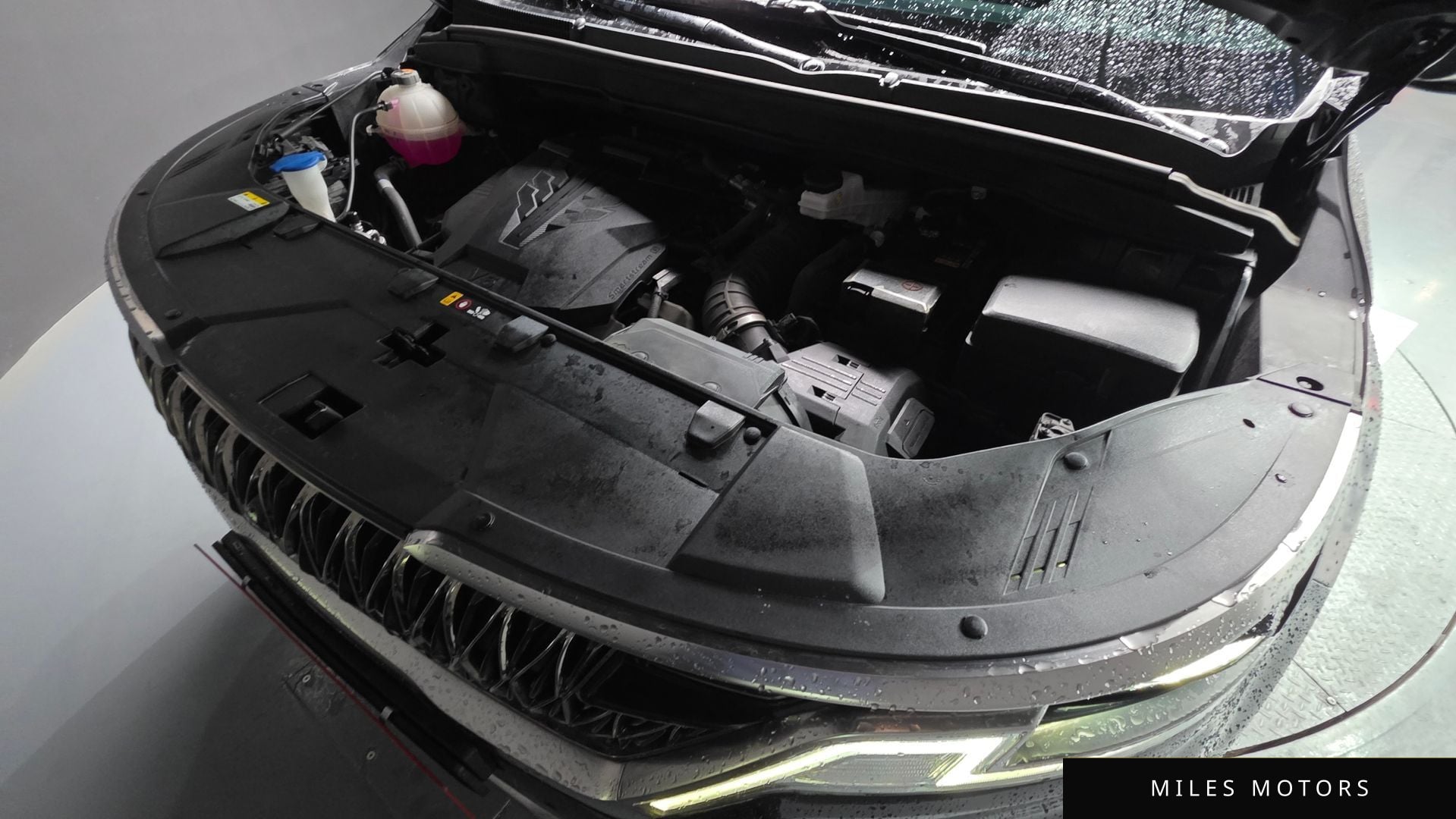 Kia Carnival 2023 — миниатюра 6