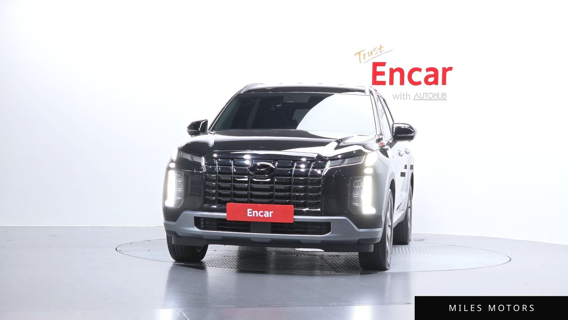 Hyundai Palisade 2024 — миниатюра 3