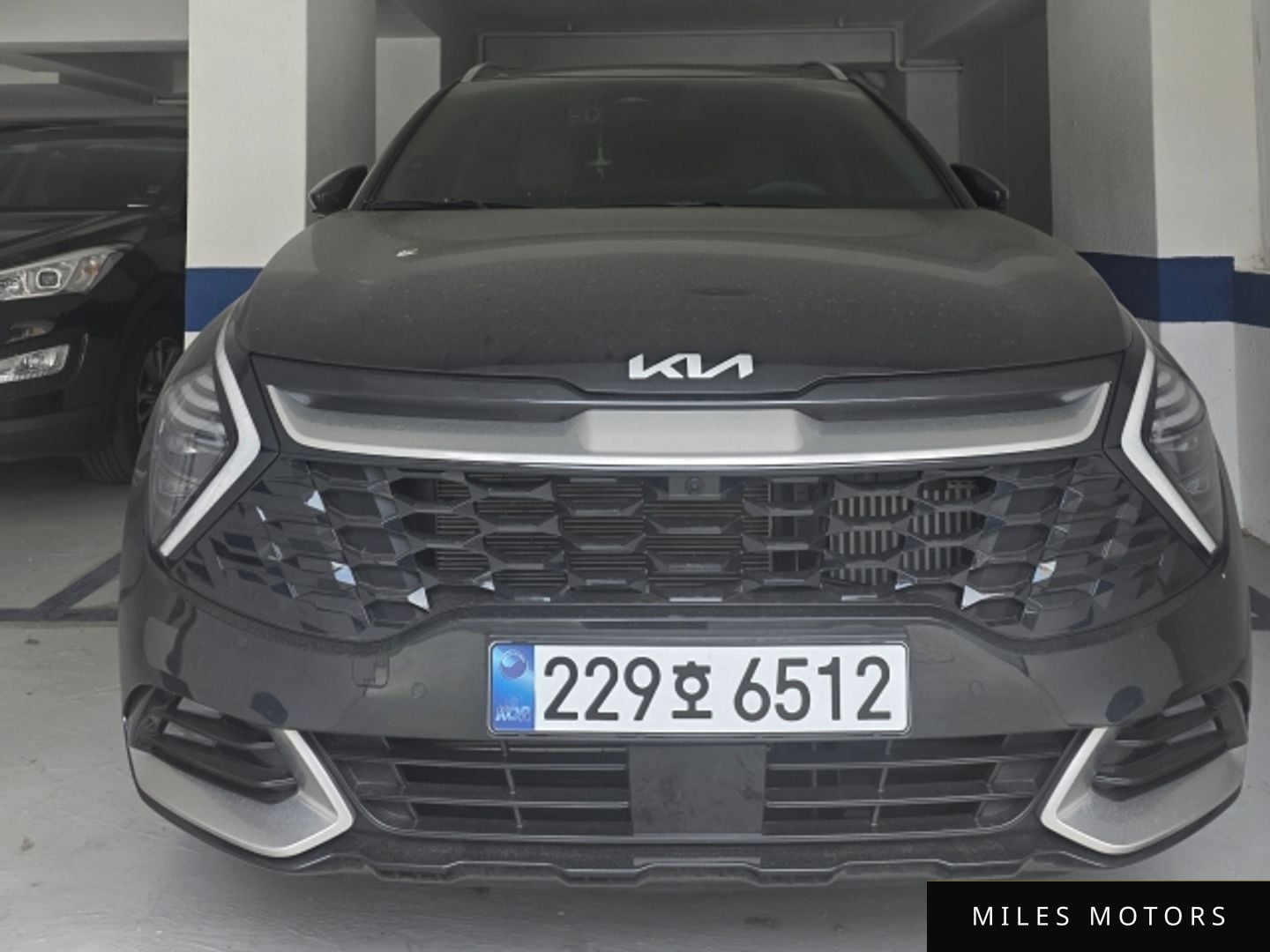 Kia Sportage 2024 — фото 1 из 12