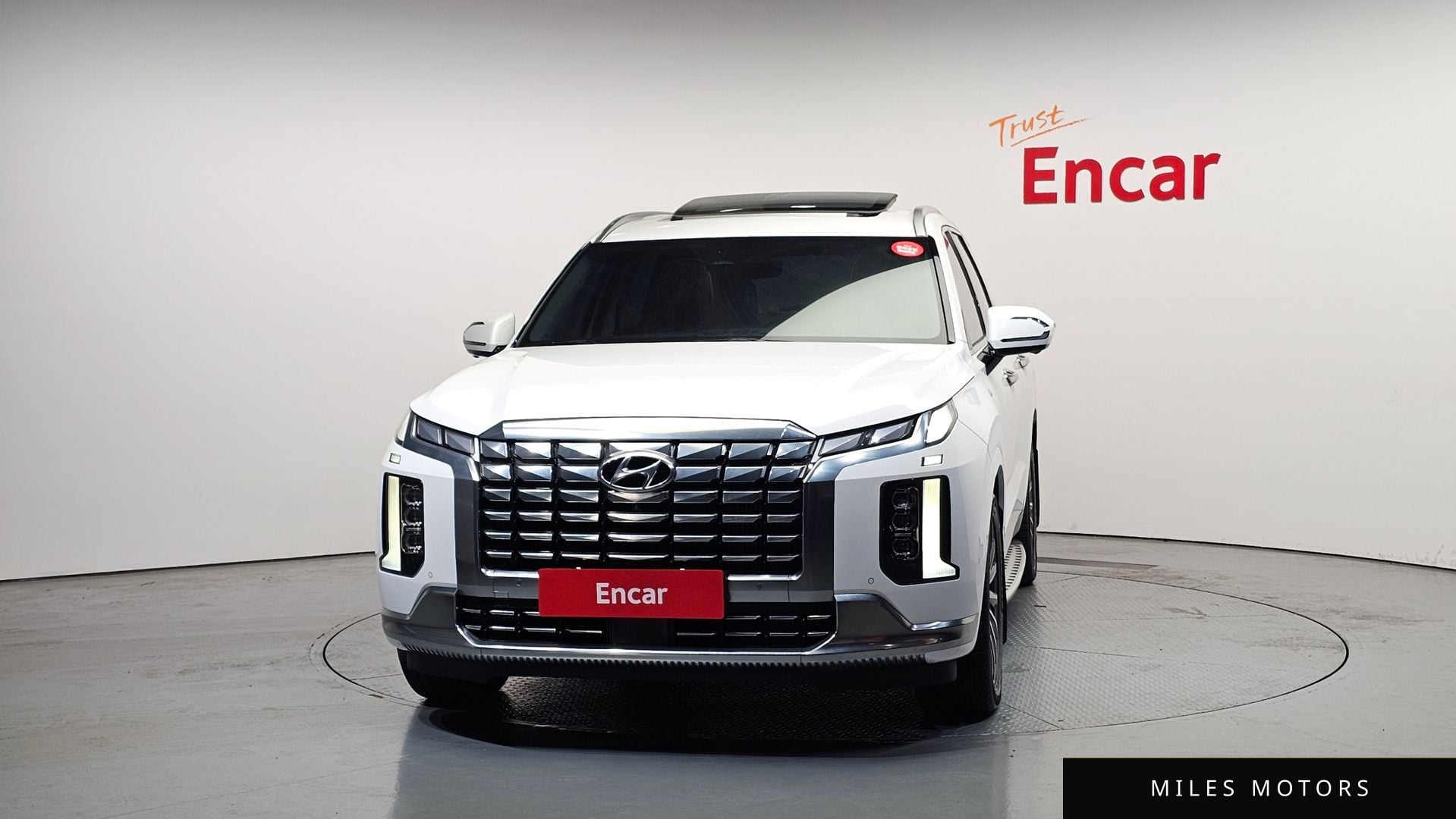 Hyundai Palisade 2023 — миниатюра 3