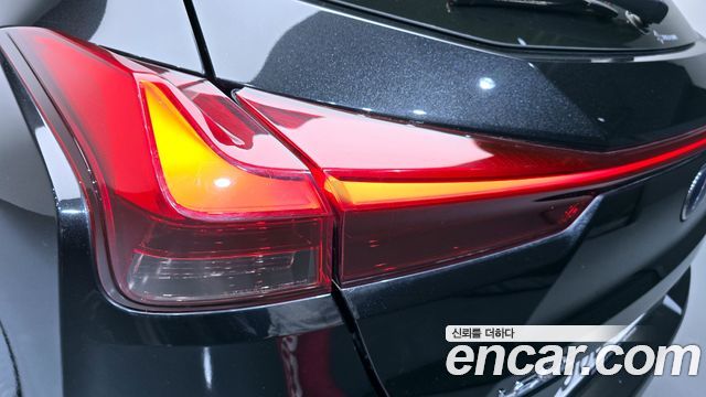Лексус UX250h 2020 — миниатюра 9