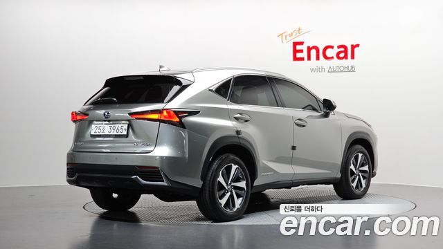 Лексус NX300h 2019 — миниатюра 2