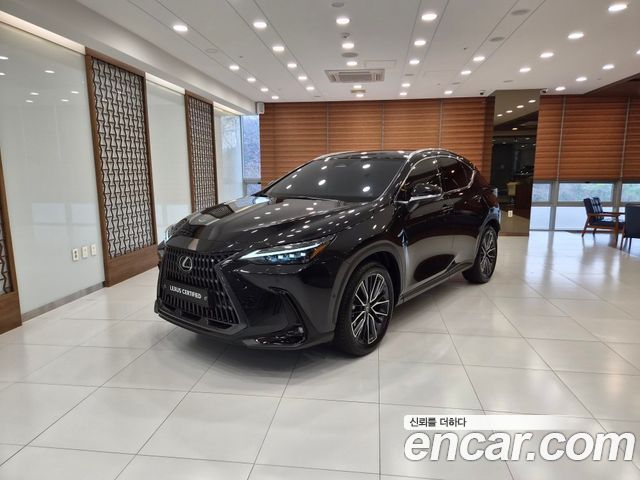 Лексус NX350h 2025 — миниатюра 21