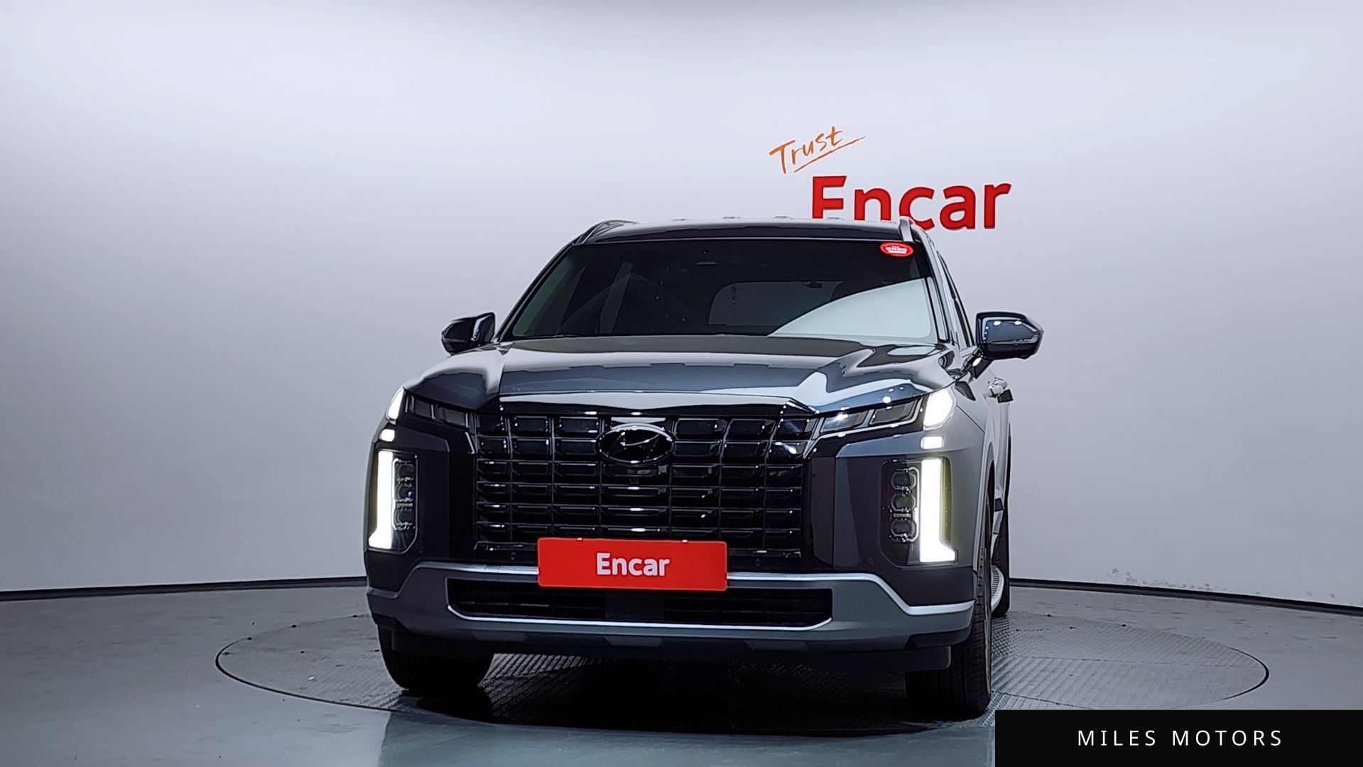 Hyundai Palisade 2024 — миниатюра 3