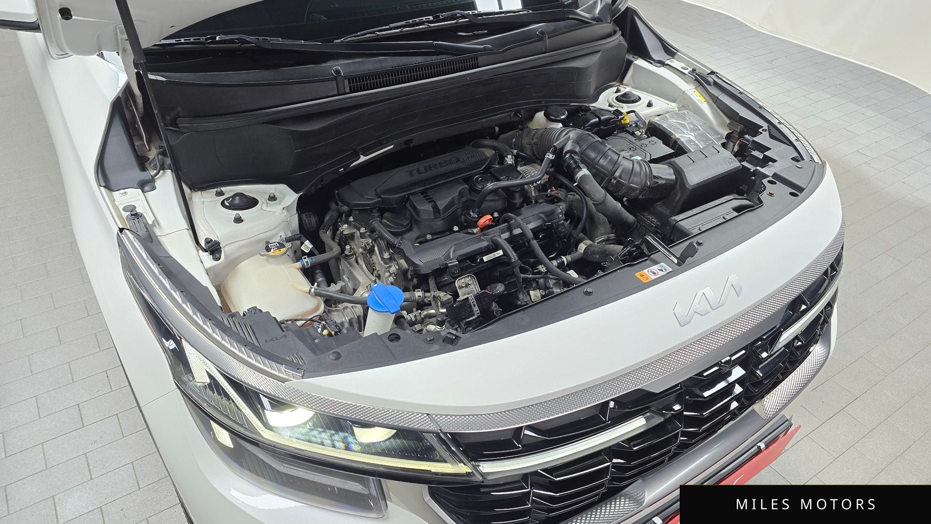 Kia Seltos 2023 — миниатюра 6