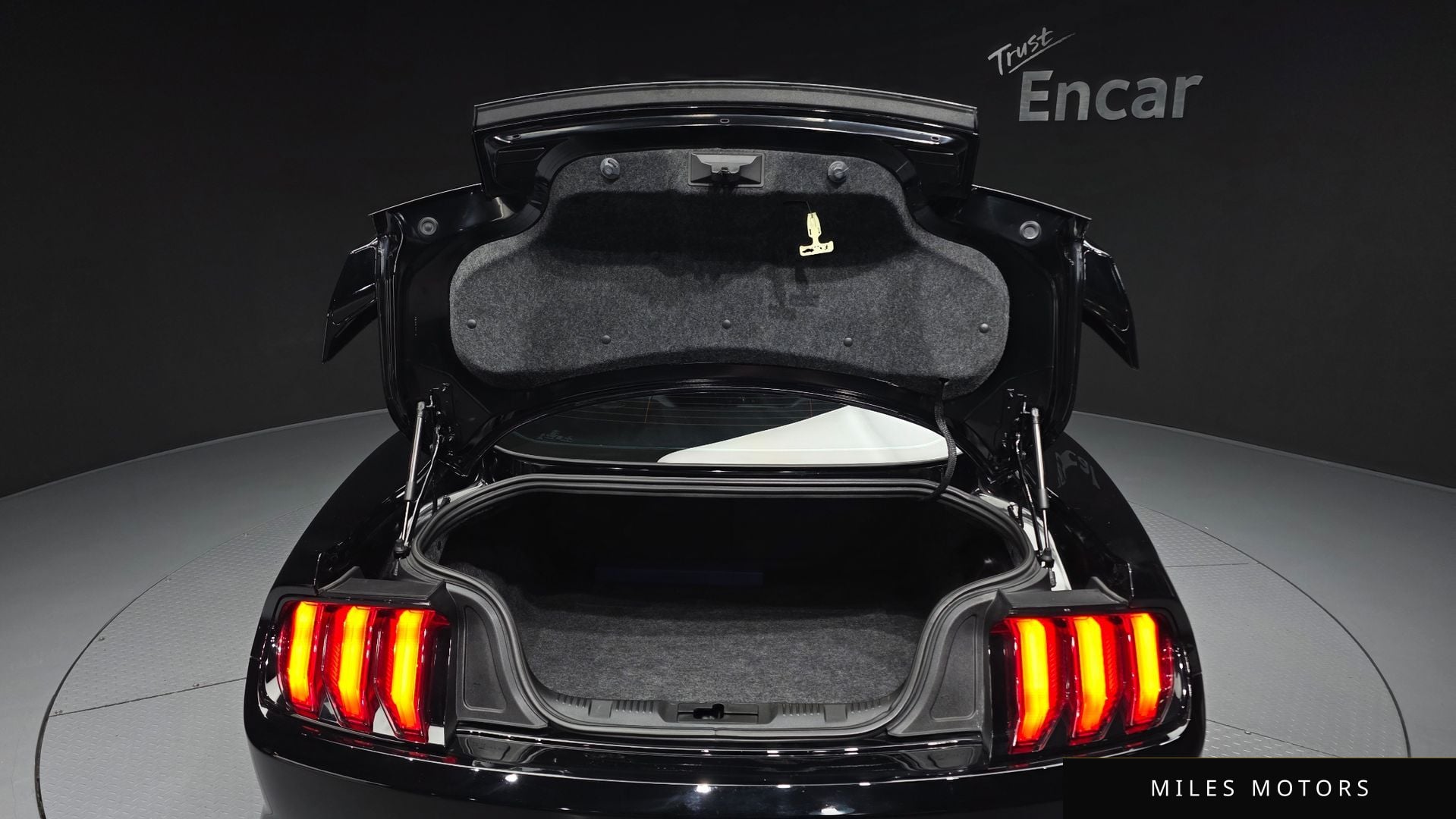Ford Mustang 2018 — миниатюра 26